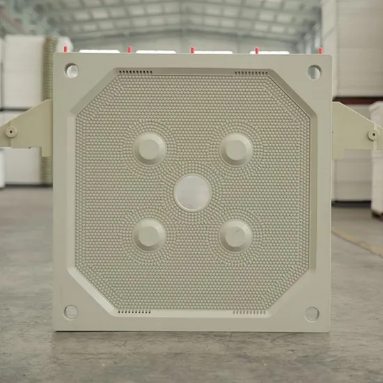 High Quality German Standard Membrane Filter Plate and Chamber Filter Plate